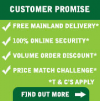 Customer Promise