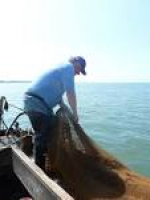 Edmondson trawling for shrimp.