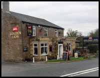 The Golden Lion: Really nice