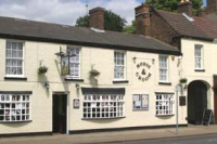 Photo of Horse and Groom
