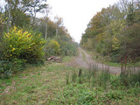 Legbourne Wood Nature Reserve