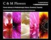 C and M Flowers 327651 Image 0
