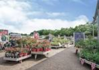 Bressingham Garden Centre | Wyevale Garden Centres
