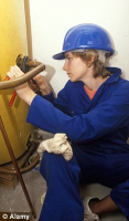 Amnesty: The Plumbers Tax Safe