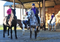 Croft Farm Riding Centre in