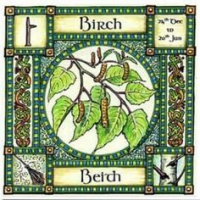 Birch, Ogham name Beith,