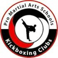 Professional Martial Arts