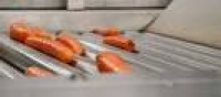 Carrot Optical Sorting Line - M H Poskitt Ltd | Tong Engineering