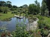 Norwell Nurseries and Gardens (Newark-on-Trent) - All You Need to ...