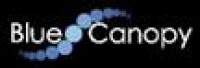Blue Canopy logo