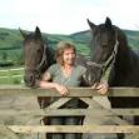 Hivron Horse Haven - Retirement Home for Horses - Animal Rescue ...