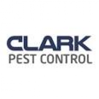 Commercial Pest Control | Pest & Bird Control | Edinburgh ...