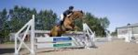 Horse and rider jumping gate ...
