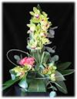 OrchidArrangement.jpg ...