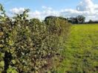 Laurel Farm Herbs - Gardening Centres - Moorland Barn, Okehampton ...