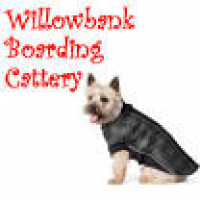 Riding Equipment Suffolk :: Willowbank Boarding Cattery ...