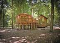 Thorpe Forest Lodges in ...