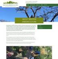 Website Design for Tree Surgeon | Knibbs - Surrey