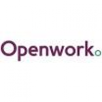 Image for 'Openwork appoints
