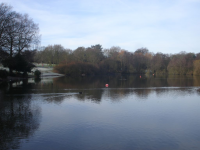 The lake at Acton Park