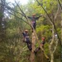 Aberdeen Area Tree Surgeons, Professional Tree Work Specialists