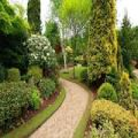 Garden Maintenance Services | Apollo Tree Services
