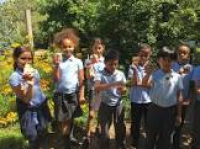 West Hill Primary School | Ready to learn, inspired to succeed ...