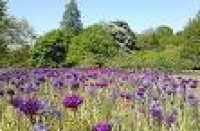 Blooming marvellous – new look University botanical garden now ...