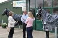 RB Equestrian Ltd