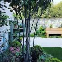 Garden design London | small, roof, design, urban garden design