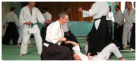 Aikido for Daily Life