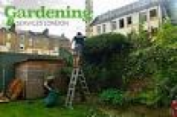 Garden maintenance & jet washing by expert gardeners in London