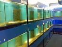 Mac's Aquatics - Aquarium