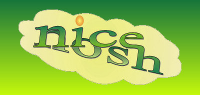 Nice Nosh logo