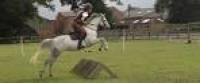 Lime Oaks Riding Centre | Horse Riding Lessons | Pony Club Awards ...