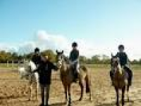 P1020165 | Holly Tree Riding School & Equestrian centre ...