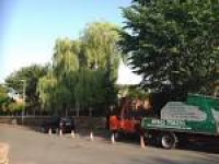 Martin Doyle Ground Maintenance, Lymm | Tree Surgeons - Yell