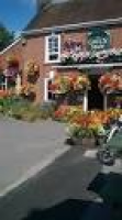 Full bloom at the Green Man - Picture of The Green Man -Wimborne ...