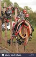 Decorated leather horse bridle ...