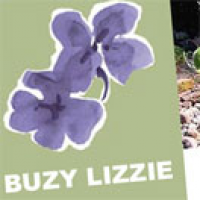 Link: Buzy Lizzie, garden