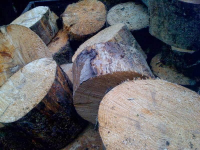 Bouthwood Firewood & Tree