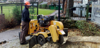 Photo of Stump Grinding by