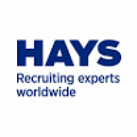 Commercial Surveyor in Derbyshire | Hays - totaljobs