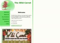 Wild Carrot
