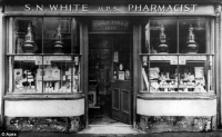 Topsham Pharmacy (pictured in