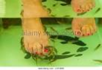 a woman's feet having a Garra ...