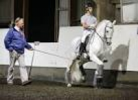 Clinics | Contessa Riding & Training Centre