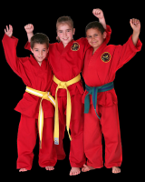 SD School of Martial Arts: Kid