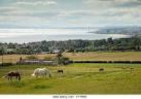 View of Leven from Largo Law ...