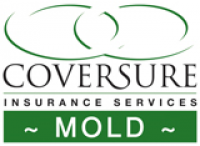 Coversure Insurance Mold